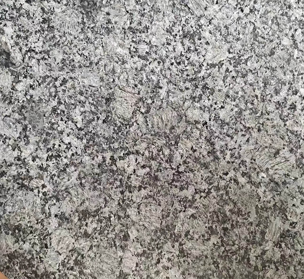 1666080180415228.jpg 蝴蝶綠火燒面.jpg